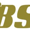 BSA Motorbikes Logo Vinyl Cut Sticker Decals 195 x 60mm BSA Classic Bikes